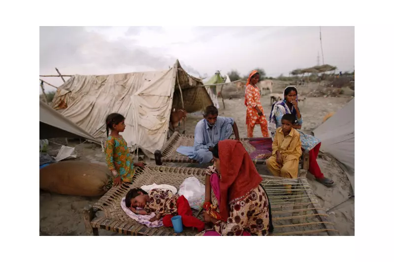 463,000 Pakistani Flood Victims Successfully Verified in Major Relief Milestone