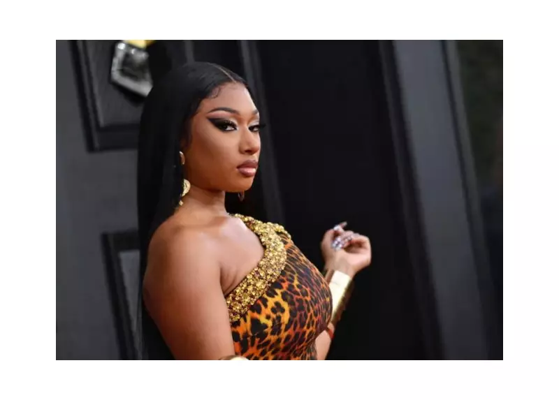 Megan Thee Stallion Faces Orchestrated Smear Campaign: Are Paid Trolls Behind the Online Hate?