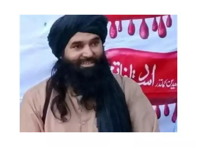 Senior TTP Commander Eliminated in Precision Bajaur Operation