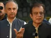 PTI's Omar Ayub Withdraws Election Disqualification Appeal in Surprise Move