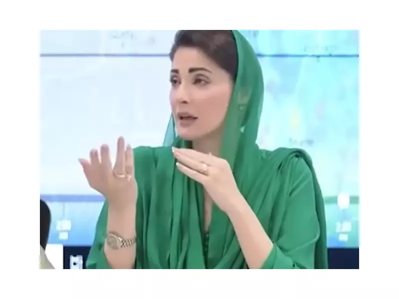 Chinese Giants Pledge Billions in Punjab Investment, Boosting Pakistan's Economy