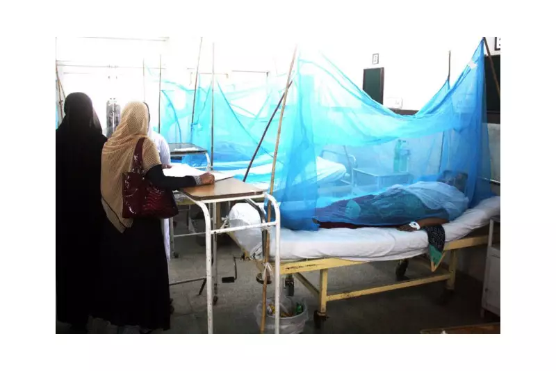 Dengue Outbreak Alert: Rawalpindi Reports 19 New Cases in 24 Hours - Health Crisis Deepens