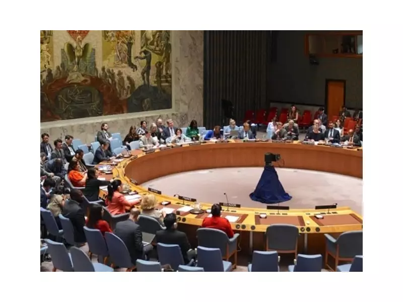 Denmark Warns UNSC of TTP Threat in Central & South Asia