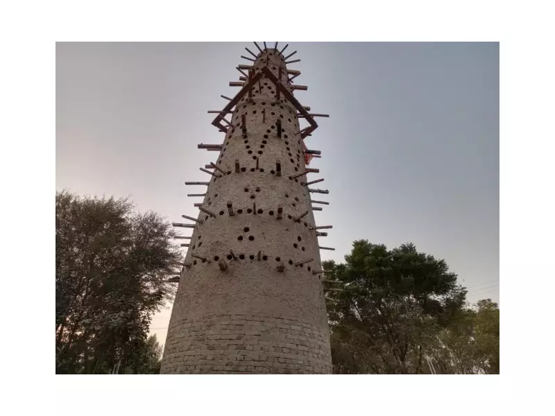 Dera Ismail Khan's First Bird Tower Offers Urban Birds New Home