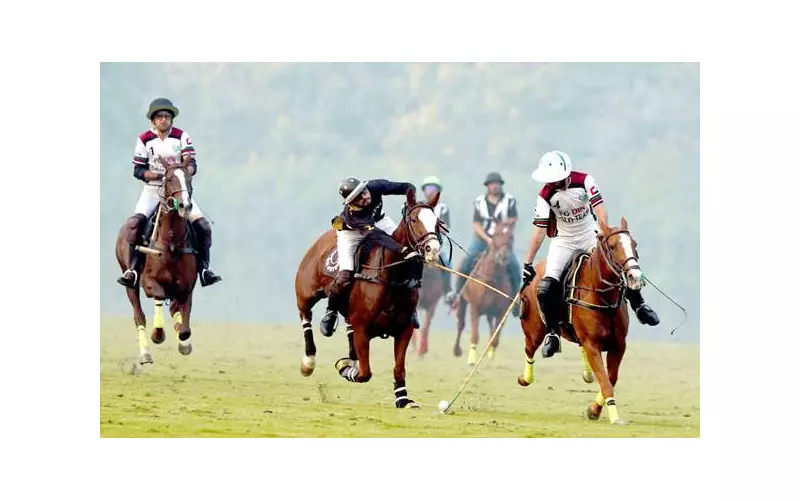 Diamond Paints Dominates FG Polo Cup with Record 13-4 Victory