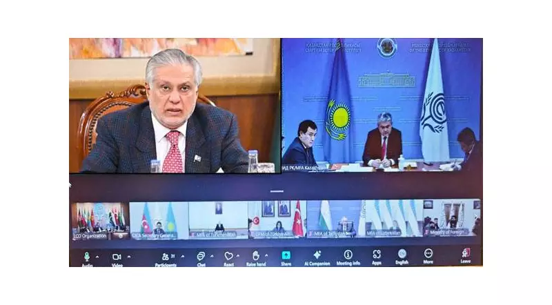 Finance Minister Dar Urges ECO Nations to Boost Cooperation for Stability