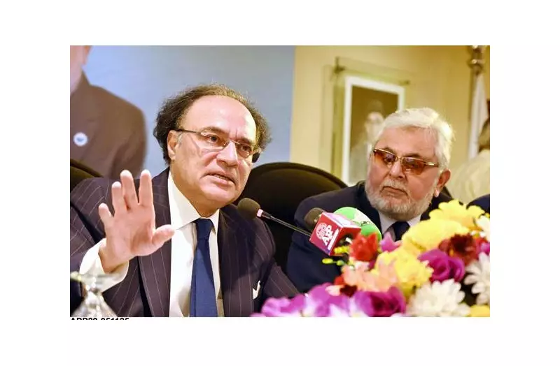 Finance Minister Vows to Continue Pakistan's Economic Transformation Amid Challenges