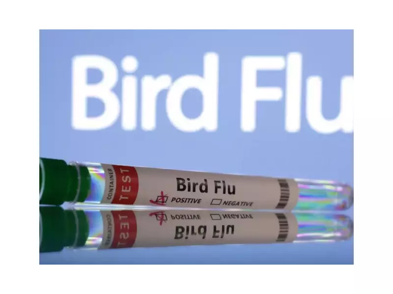 First Human H5N5 Bird Flu Death Confirmed in Washington State