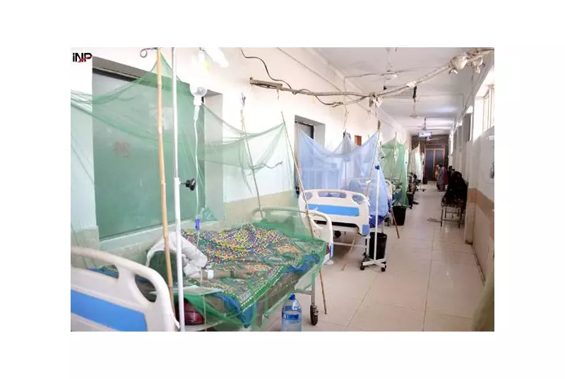 Islamabad Sees Dramatic Drop in Dengue Cases as Authorities Inspect 45,000 Sites