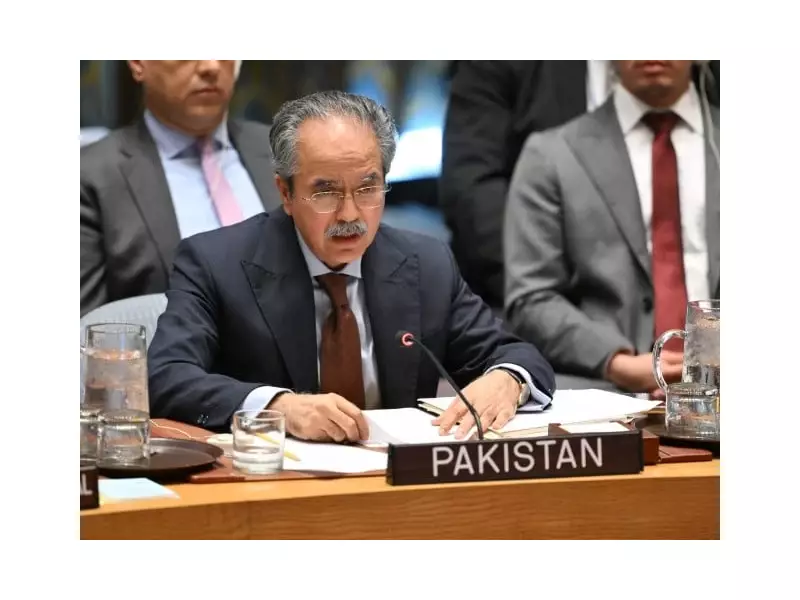 Pakistan Demands UN Security Council Reform, Calls Veto Power Major Hurdle