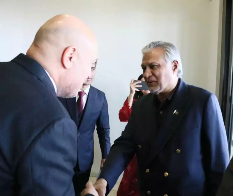 Pakistan's FM Ishaq Dar Arrives in Istanbul for Urgent Gaza Crisis Talks