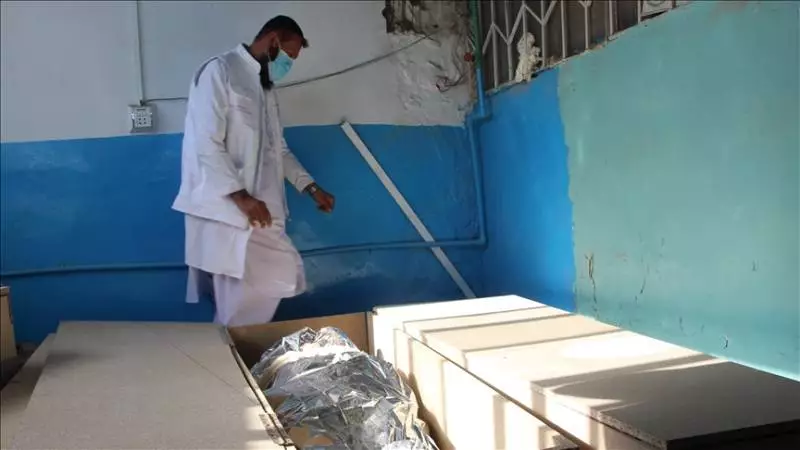 Pakistan's Health System in Crisis: 40% Funding Cut Threatens Essential Services in 2025