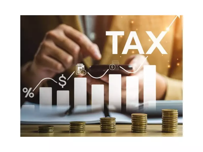 Pakistan's Major Industries Bear Tax Burden Four Times Higher