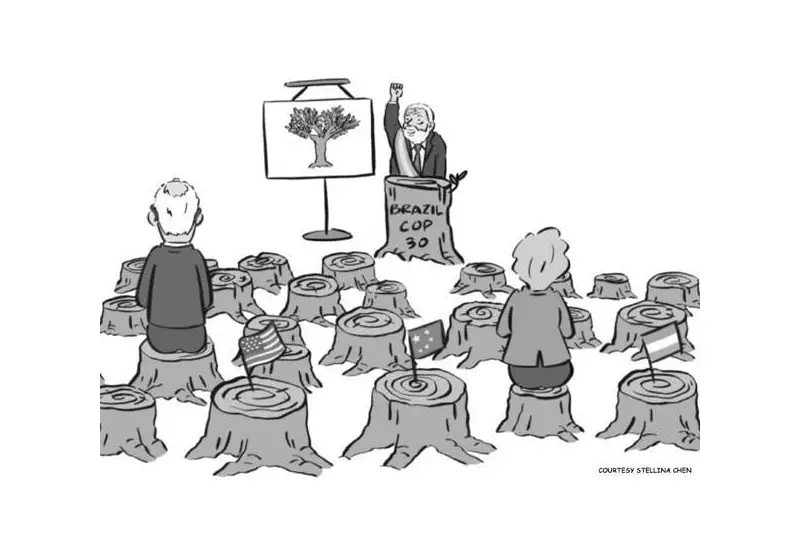 Political Cartoon Sparks National Debate on November 12