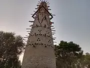 Dera Ismail Khan's First Bird Tower Offers Urban Birds New Home