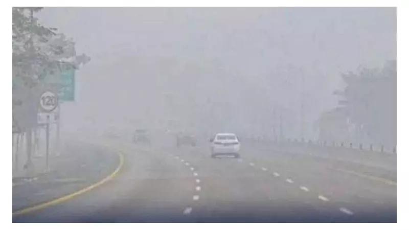 Dense Fog Paralyzes Punjab: Motorways Closed, Travel Disrupted