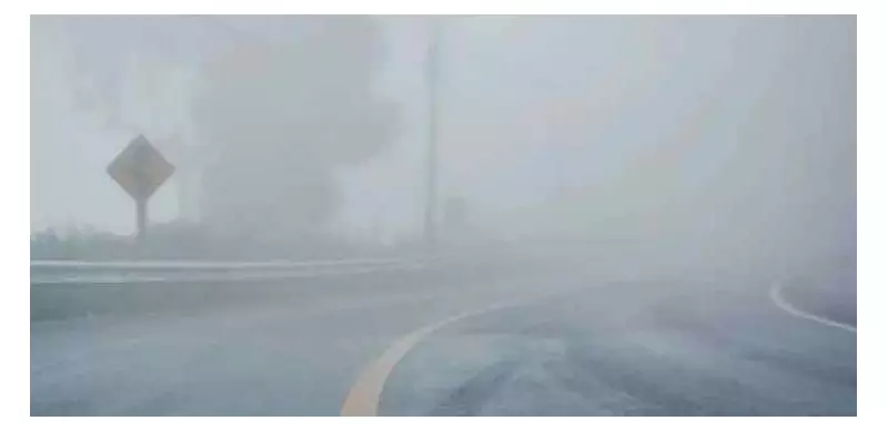 Dense Fog Shuts Key Punjab Motorways, M-2, M-3, M-4, M-11 Affected