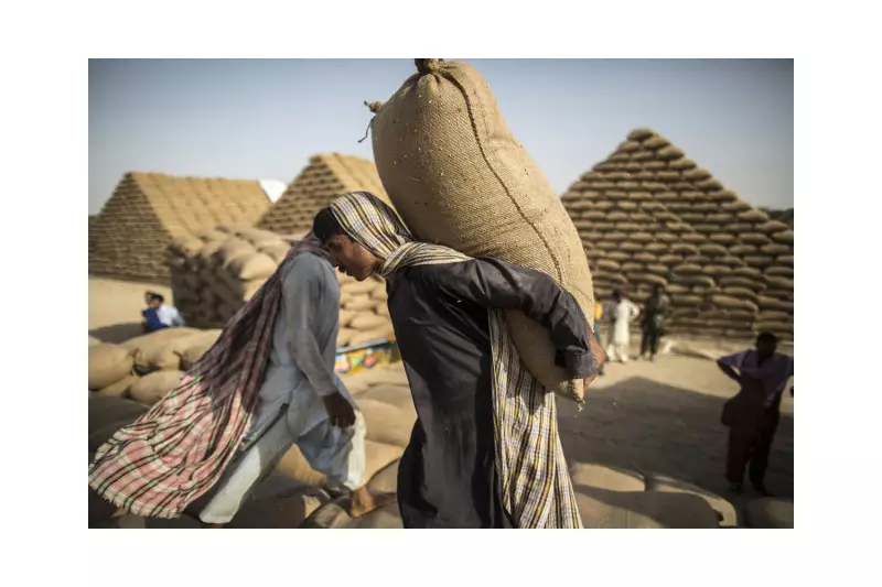 Hyderabad Flour Mills Demand Lab Tests on Govt Wheat Amid Adulteration Fears