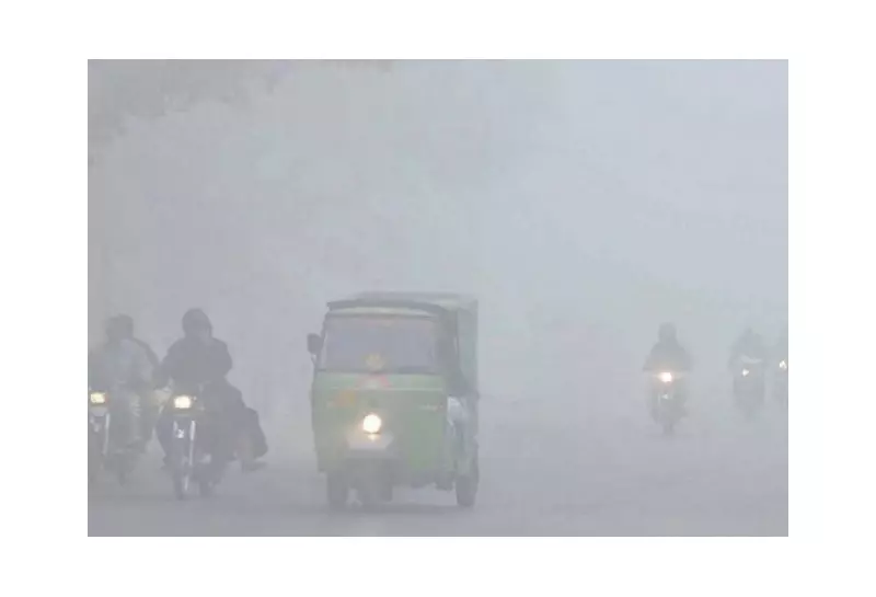 Lahore Cracks Down on Smog: Over 320 BBQ Points Sealed in Major Operation