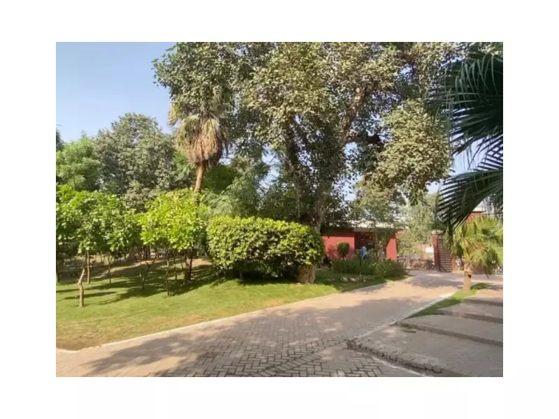 LHC Orders Probe Into 123 Trees Cut at Lahore's Historic Nasir Bagh