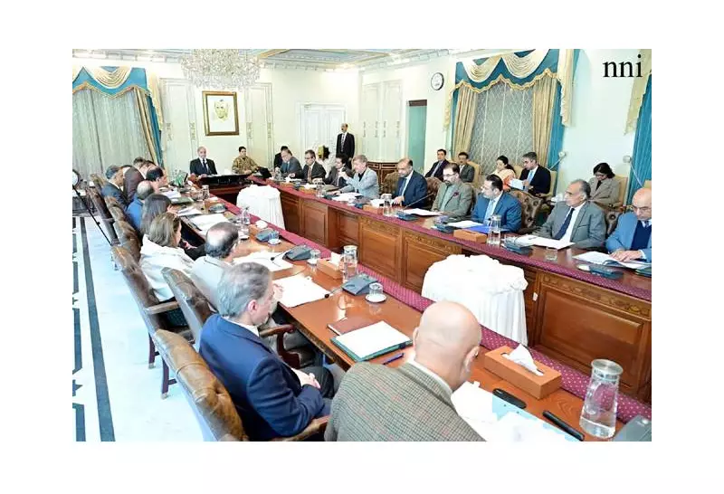 PM Shehbaz Approves National Energy Plan, Focus on Cheap Power for Industries