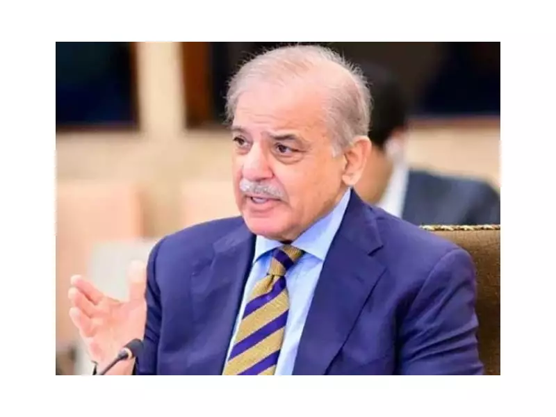 PM Shehbaz Sharif Lauds Gen Z as 'More Aware, More Capable'