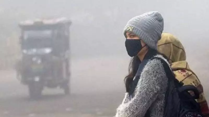 Punjab Colleges to Close for Winter Break from Dec 23 to Jan 10