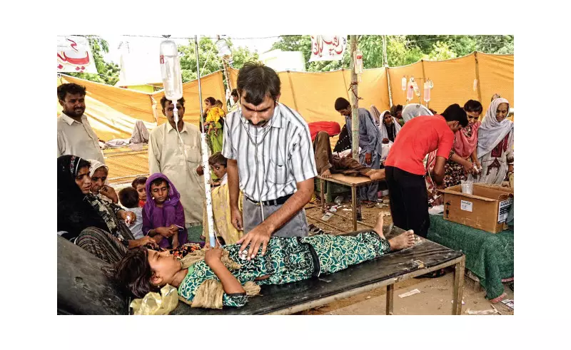 Punjab Health Dept Cancels All Staff Leaves Amid Dengue Threat