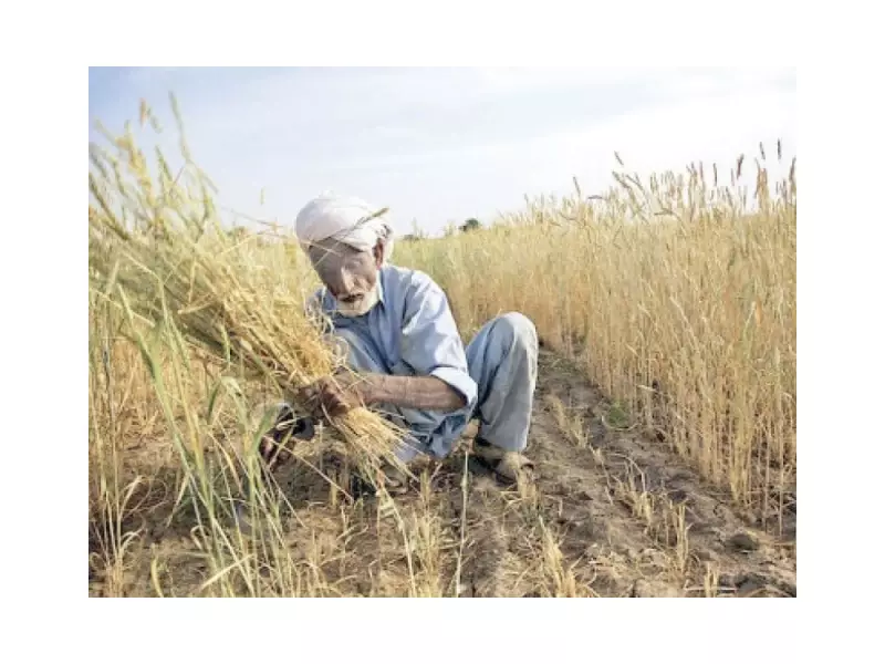 Rahim Yar Khan Canal Closure 2026 Announced: Farmers Demand Desilting