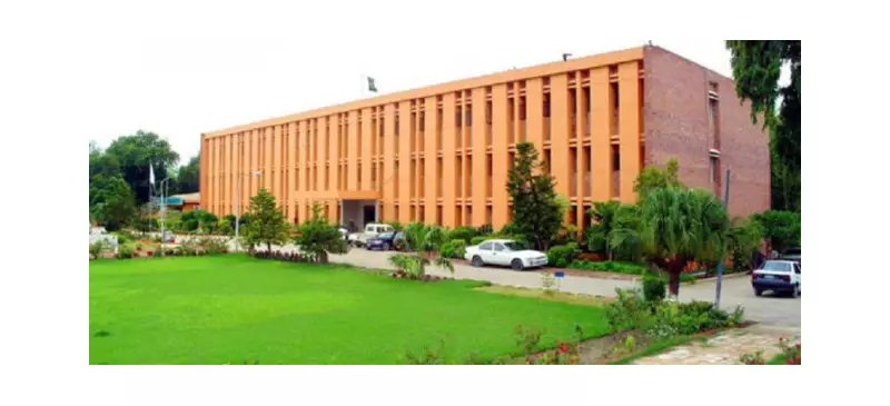 SAU Tandojam Grows Berries on Saline Land, Tests New Mustard & Wheat