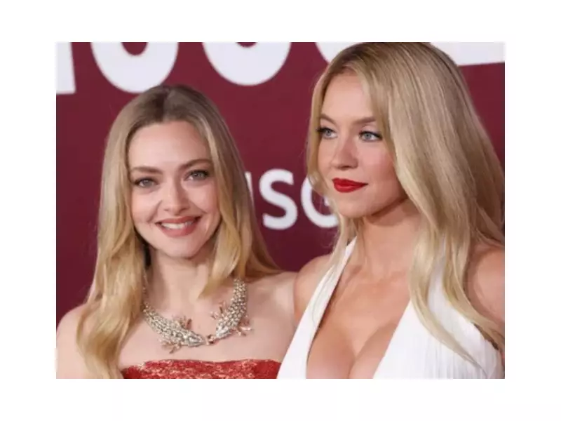 The Housemaid Sequel Buzz: Seyfried & Sweeney Eager for More