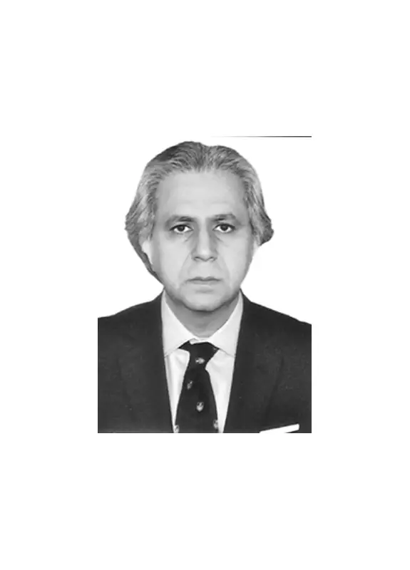 Generic Approaches Lead Nowhere: A Call for Tailored Solutions in Pakistan