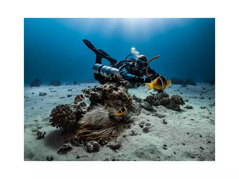 Global High Seas Treaty Takes Effect, Aims for 30% Ocean Protection by 2030