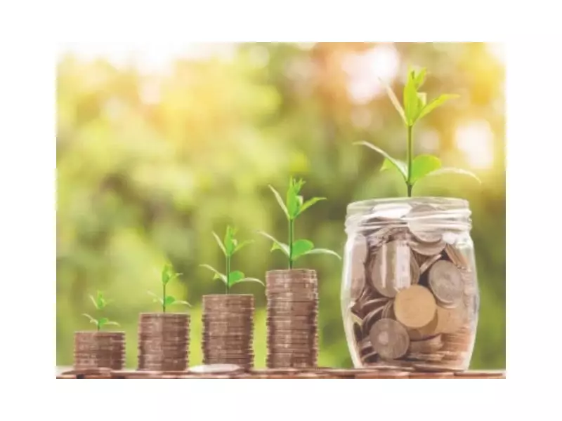 Govt Launches 22 Automated Agri Permits to Curb Corruption, Boost Exports