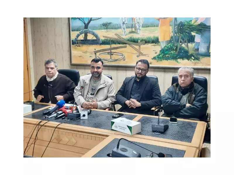 Hamza's PSL Bid: Qalandars Fan Pledges to Promote Pakistan Cricket