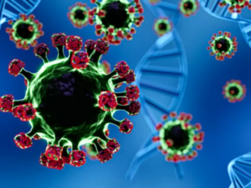 Health Alert: Pakistan Issues Nipah Virus Advisory Amid Regional Outbreaks