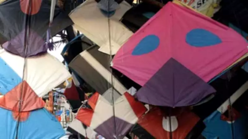 Lahore Revives Basant Festival After 20+ Years with Free Transport & Kite Sales