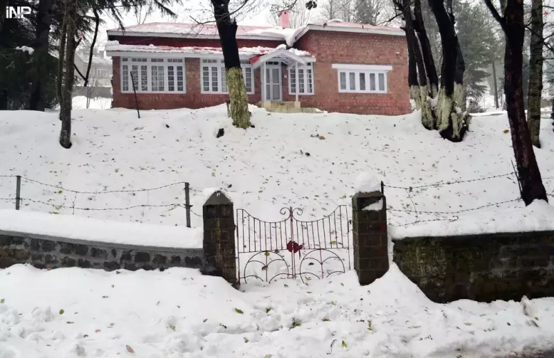 Major Rescue Operation in Murree After Heavy Snowfall Strands Thousands of Tourist Vehicles
