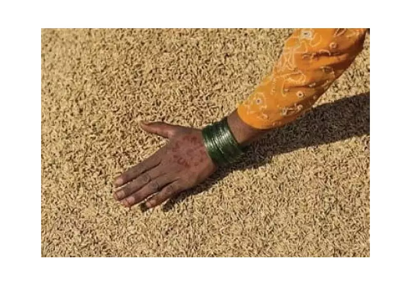 NARC Launches Speed Breeding Units for Wheat & Pulses to Boost Food Security