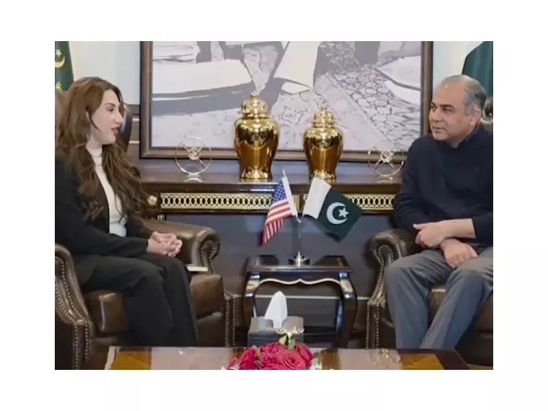 Pakistan and US Discuss Joint Crackdown on Visa Fraud Networks