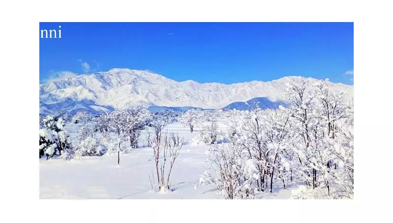 Pakistan Braces for More Snow and Rain as Westerly System Intensifies