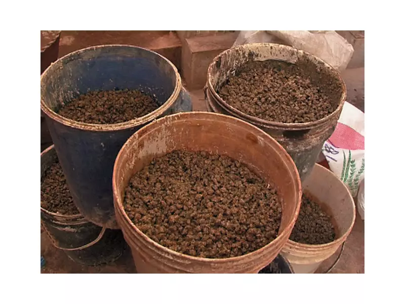 Pakistan Customs Seizes Rs663 Million Worth of Banned Chew in 2025