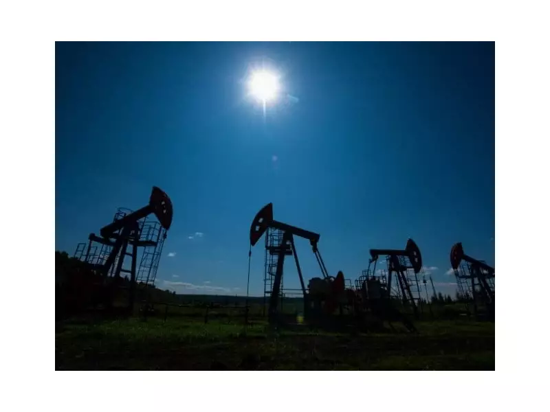 Pakistan Government Abandons APL Pipeline Termination, Opts for Alternative Use to Protect Foreign Investment