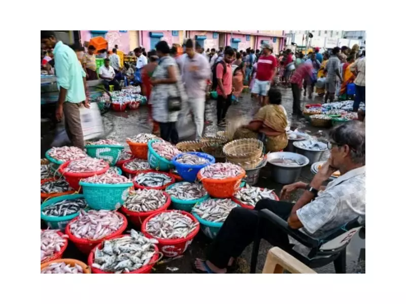 Pakistan's First Fishing Technology Museum Opens in Karachi