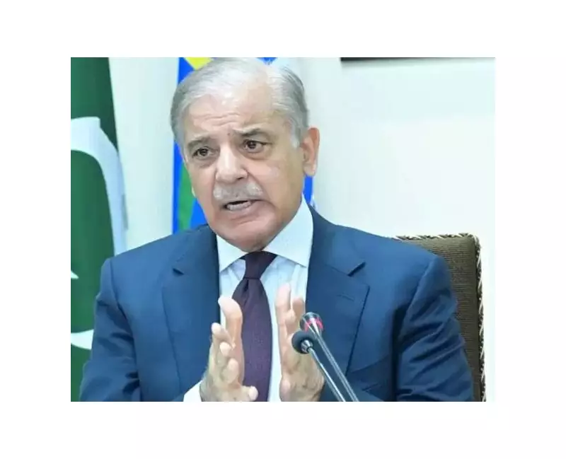PM Shehbaz: Kashmir Self-Determination Key to South Asian Peace