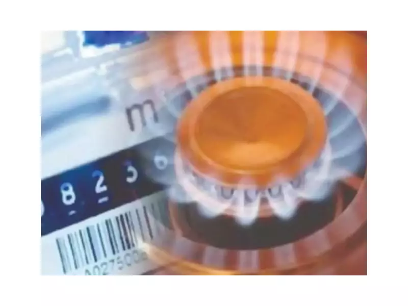 PM Shehbaz Orders Uniform Gas Prices, Fertilizer Bag Tagging to Aid Farmers