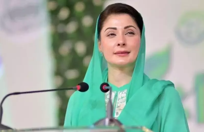 Punjab CM Directs Removal of Hazardous Power Lines to Prevent Accidents