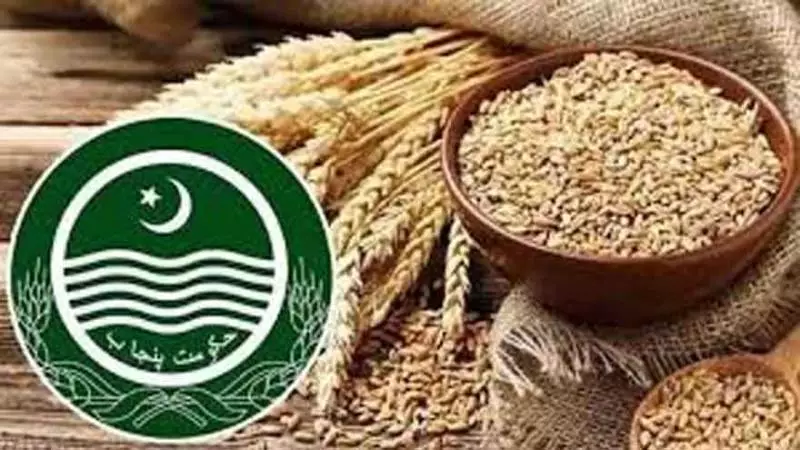 Punjab Govt Merges 9 Departments, Creates New Food Safety & Consumer Body
