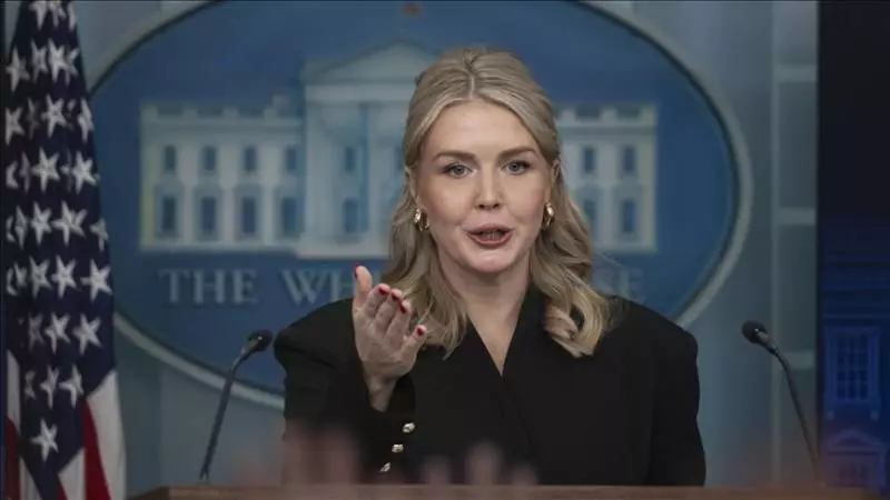 Trump Eyes Greenland Acquisition, Military Option on Table for Arctic Security