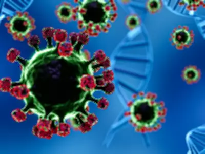 Health Alert: Pakistan Issues Nipah Virus Advisory Amid Regional Outbreaks